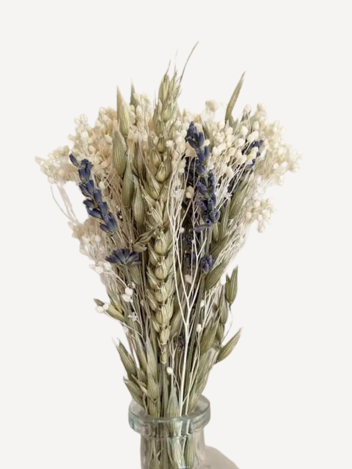 Masion Oline - Trockenblumen - COLETTE - Kleiner Strauß natürlicher Trockenblumen