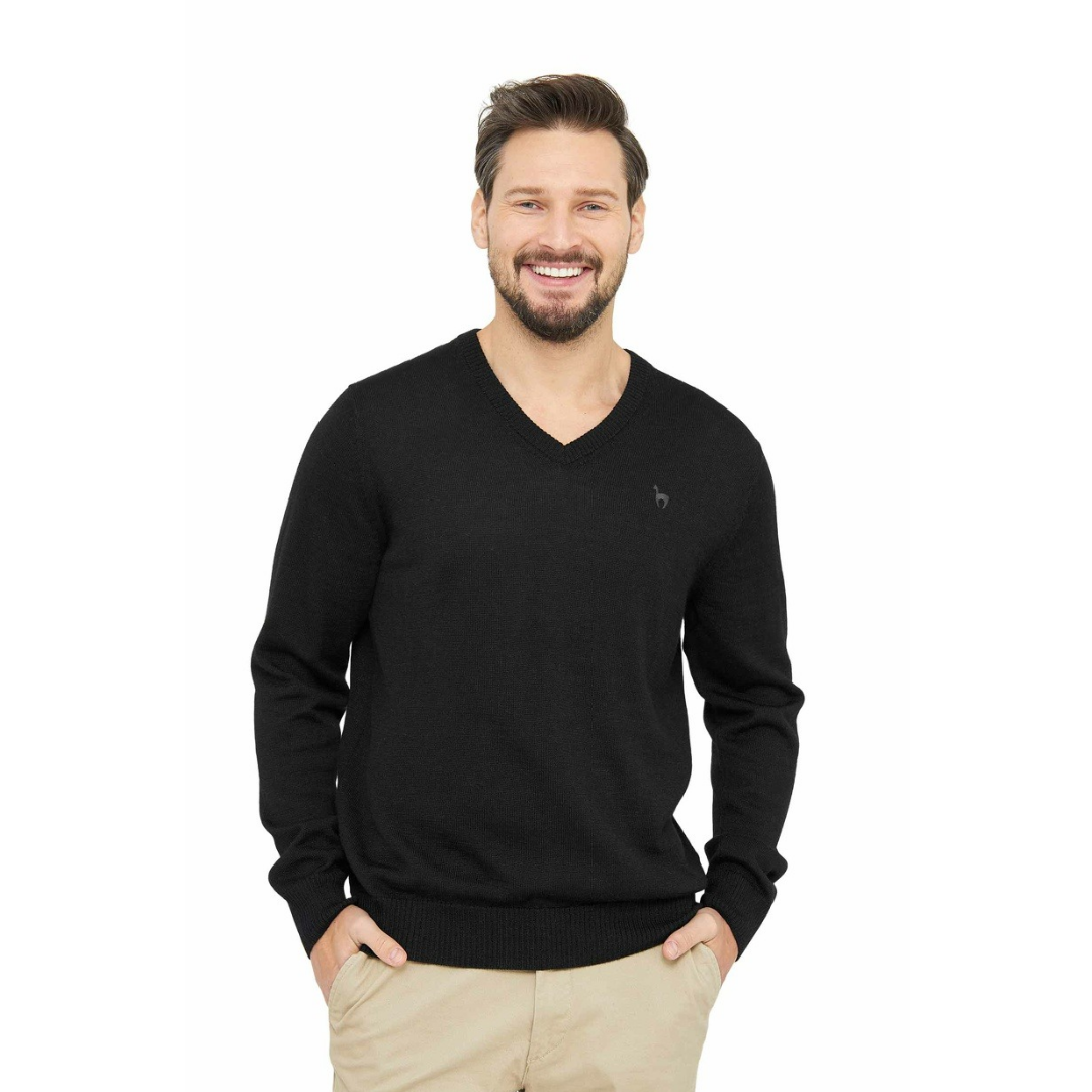 Apu Kuntur - Edler Herren-Pullover aus 100% Baby Alpaka - V-Kragen