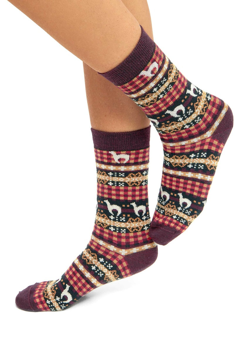 Apu Kuntur - Alpaka Premium Socken Candela – Wärme & Stil im Anden-Look