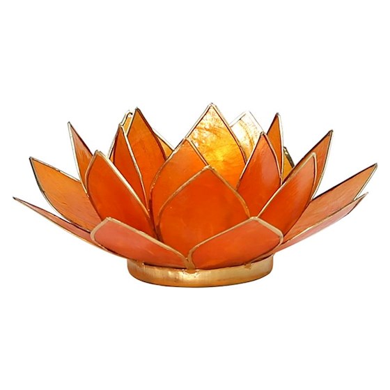 Lotus Teelicht Capiz - aus natürlicher Capiz Muschel