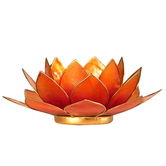 Lotus Teelicht Capiz - aus natürlicher Capiz Muschel