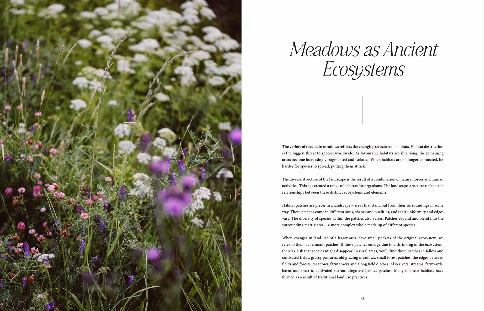 "Where Flowers Bloom" - Cozy Publishing - Coffee Table Book
