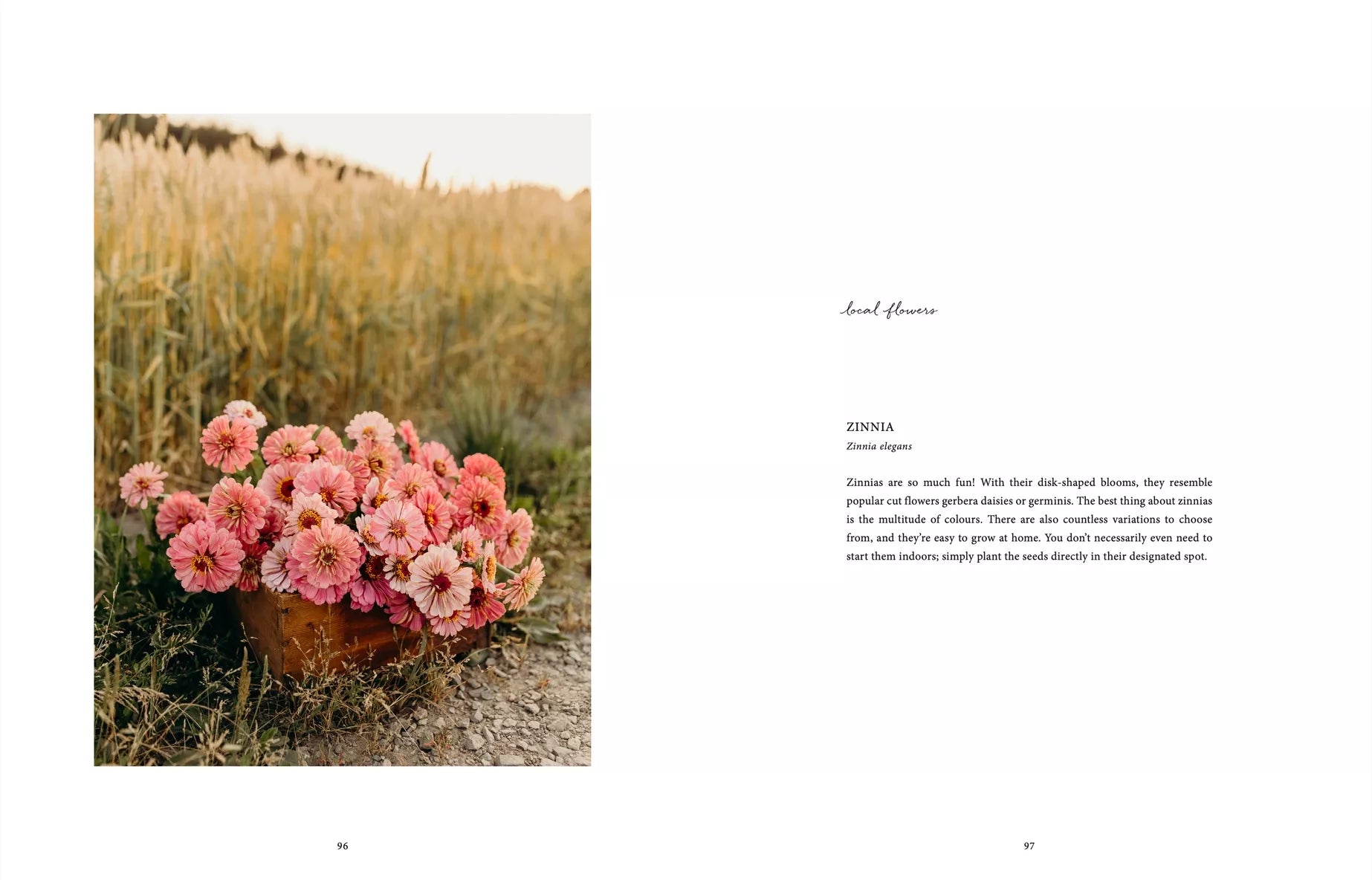 "Where Flowers Bloom" - Cozy Publishing - Coffee Table Book
