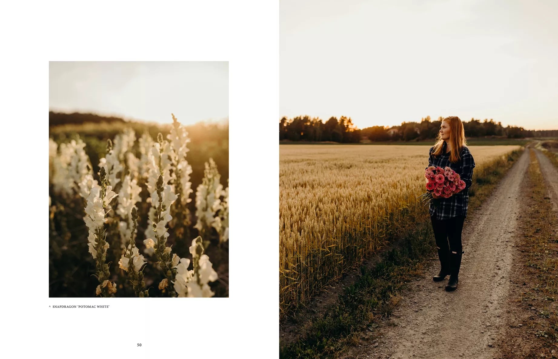 "Where Flowers Bloom" - Cozy Publishing - Coffee Table Book